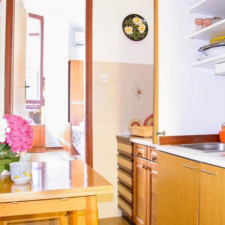 אומאג Studio Albina מראה חיצוני תמונה
